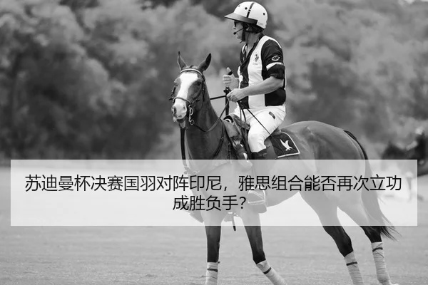 苏迪曼杯决赛国羽对阵印尼，雅思组合能否再次立功成胜负手？